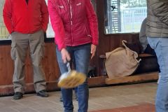 IMG-20230212-WA0006
