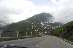 DSCN6619