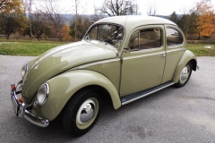 VW Käfer